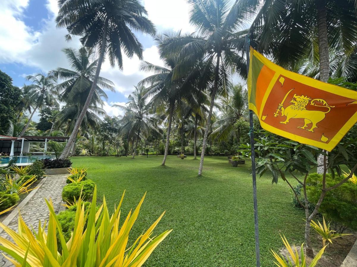 Why Not Mansion Hostel Habaraduwa Exterior photo